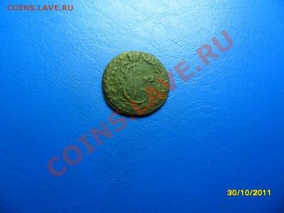 денга 1792 км, короткий аук - SAM_4761.JPG