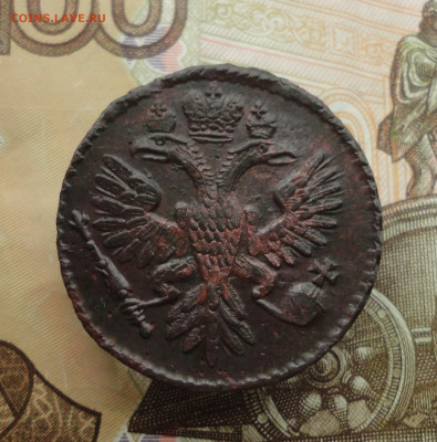 Кладовая денга 1734 года. До 20.11.22. - DSC02614.JPG