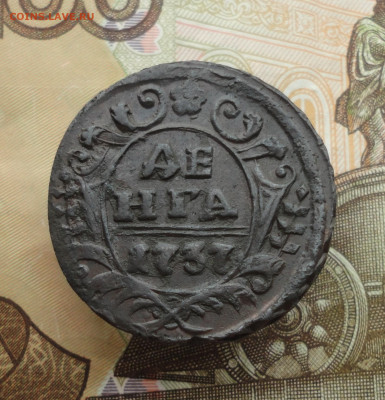 Кладовая денга 1737 года. До 20.11.22. - DSC02620.JPG