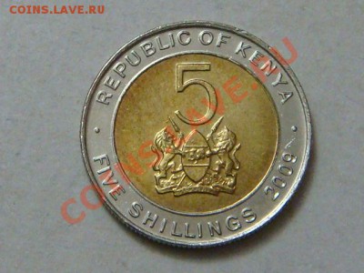 -vБ- Кения 5 шиллингов 2009 бимет. до 8.12(21.00) - DSC05842.JPG