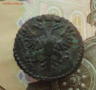 Кладовая полушка 1731 года. До 20.11.22. - DSC02657.JPG