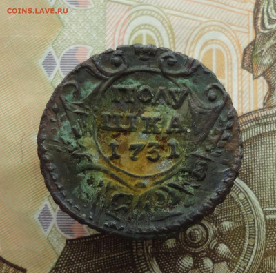 Кладовая полушка 1731 года. До 20.11.22. - DSC02656.JPG