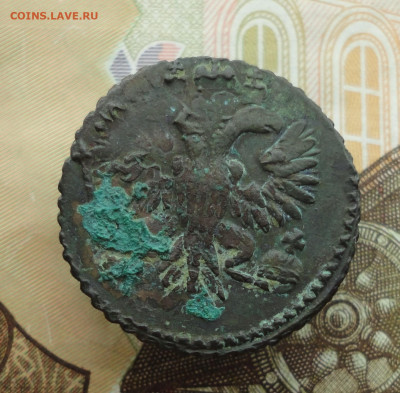 Кладовая полушка 1734 года перечекан. До 20.11.22. - DSC02674.JPG