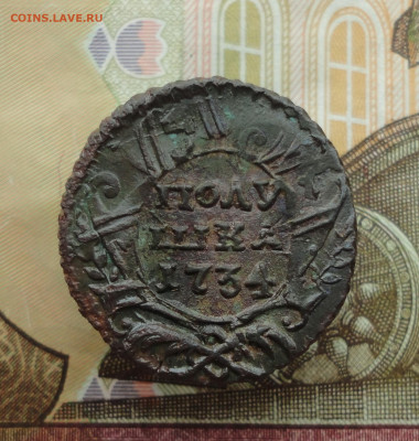 Кладовая полушка 1734 года перечекан. До 20.11.22. - DSC02675.JPG
