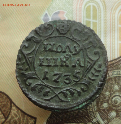 Кладовая полушка 1735 года. До 20.11.22. - DSC02684.JPG