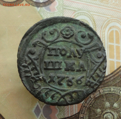 Кладовая полушка 1736 года. До 20.11.22. - DSC02689.JPG