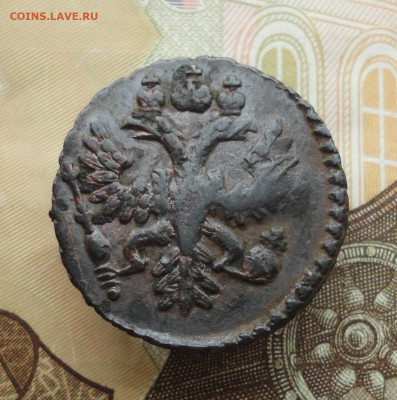 Кладовая полушка 1734 года. До 20.11.22. - DSC02683.JPG