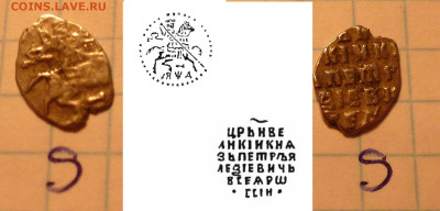 Чешуя ПетрI на определение из комплекса - P1030272.JPG