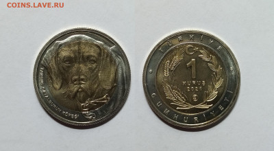 Турция 1 куруш 2021 года, собака, UNC - 20.11 - IMG_20221116_192033