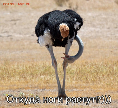 юмор - IMG_20221117_173132_150