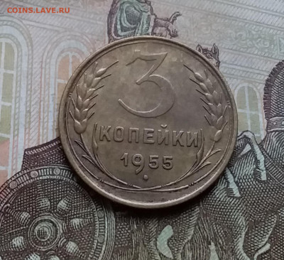 3 копейки 1955. До 21.11.22 в 22.00 - 20221118_153328