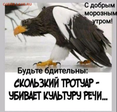 юмор - IMG-20221118-WA0004