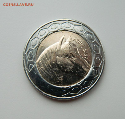 Алжир 100 динаров 2018 г. (Фауна) БИМ до 23.11.22 - DSCN3938.JPG