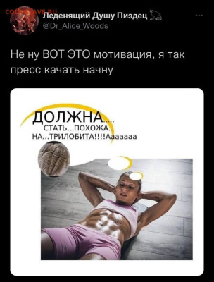 юмор - IMG-20221118-WA0003