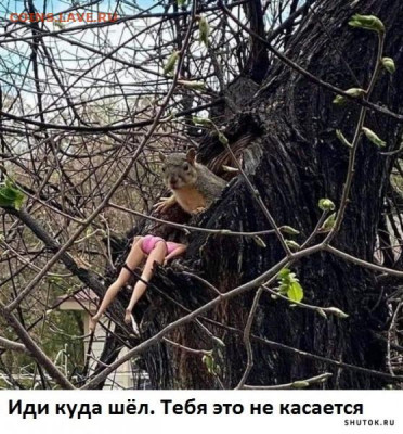 юмор - IMG-20221118-WA0002