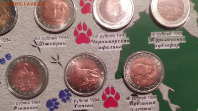 красная книга 15 монет  подлинность - 2022-11-19 07-36-23.JPG