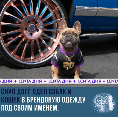 юмор - jtyIEs3KkOk