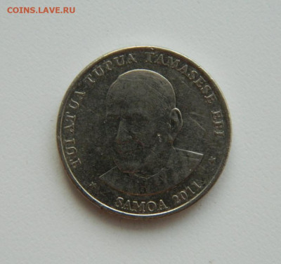 Самоа 50 сене 2011 г. (Фауна) до 23.11.22 - DSCN4299.JPG