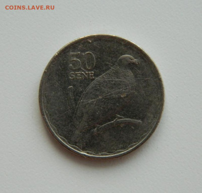 Самоа 50 сене 2011 г. (Фауна) до 23.11.22 - DSCN4300.JPG