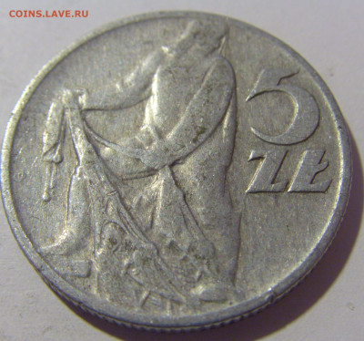 5 злотых 1959 Польша №2 26.11.2022 22:00 МСК - CIMG1015.JPG