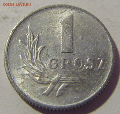 1 грош 1949 Польша №1 26.11.2022 22:00 МСК - CIMG1047.JPG