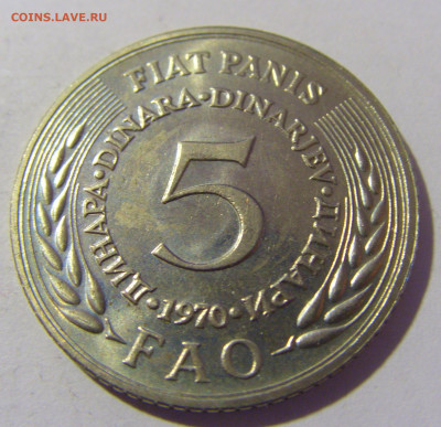 5 динар 1970 ФАО Югославия №1 26.11.2022 22:00 МСК - CIMG1312.JPG