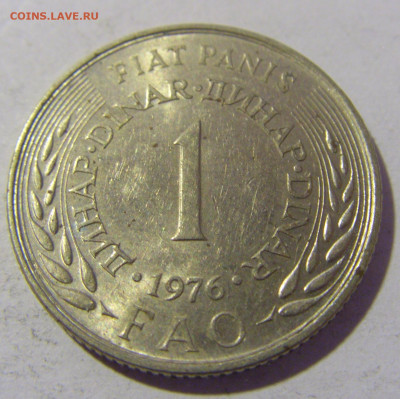 1 динар 1976 ФАО Югославия №1 26.11.2022 22:00 МСК - CIMG1400.JPG