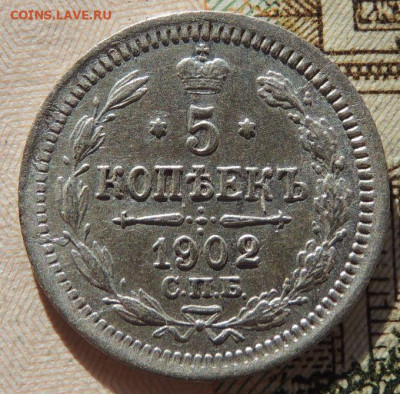 5 копеек 1902 года до 22:00 27 ноября - DSCN8965.JPG