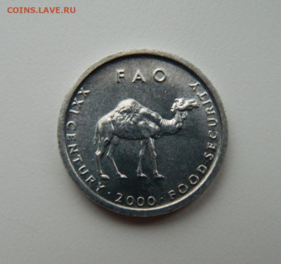 Сомали 10 шиллингов 2000 г.(Юбилейная) Фауна до 24.11.22 - DSCN3901.JPG