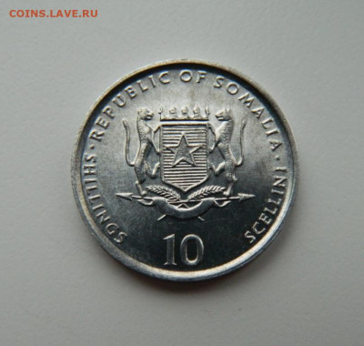 Сомали 10 шиллингов 2000 г.(Юбилейная) Фауна до 24.11.22 - DSCN3902.JPG