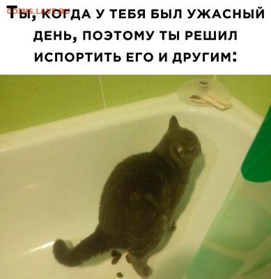 юмор - lM64LqBrLP0