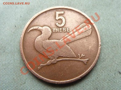 BOTSWANA 5 THEBE 1998г.ТУКАН до 9.12.11 в 22-00 - MEMO0063.JPG