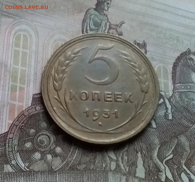 5 копеек 1931. До 26.11.22 в 22.00 - 20221122_140522
