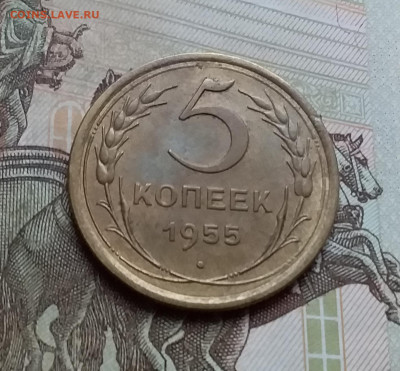 5 копеек 1955. До 26.11.22 в 22.00 - 20221122_143706