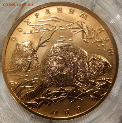 100 Рублей 2008 Речной Бобр UNC до вечера 22.11.22 - IMG_20221120_114729