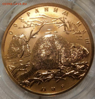 100 Рублей 2008 Речной Бобр UNC до вечера 22.11.22 - IMG_20221120_114754