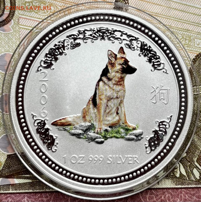 Австралия 1 доллар 2006 Год собаки до 30.11 - C2B623BB-EFB4-4E41-8843-9E41DBD74BAA