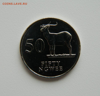 Замбия 50 нгве 1992 г. (Фауна) до 29.11.22 - DSCN4536.JPG