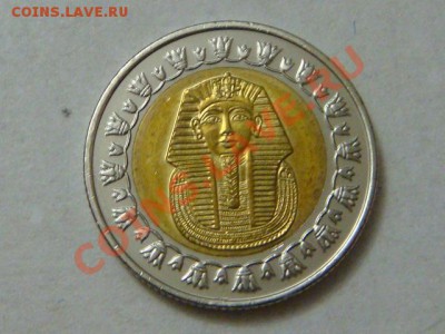 -vБ- Египет 1 фунт 2007 бимет.  до 8.12(21.00) - DSC05855.JPG
