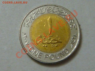-vБ- Египет 1 фунт 2007 бимет.  до 8.12(21.00) - DSC05854.JPG