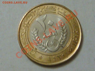 -vБ- Мавритания 20 угия 2009 бимет.  до 8.12(21.00) - DSC05849.JPG