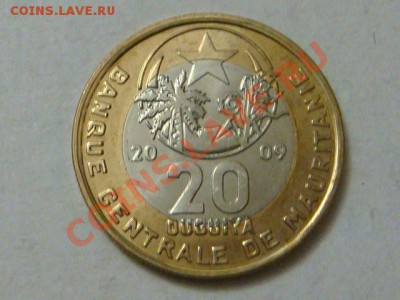 -vБ- Мавритания 20 угия 2009 бимет.  до 8.12(21.00) - DSC05848.JPG