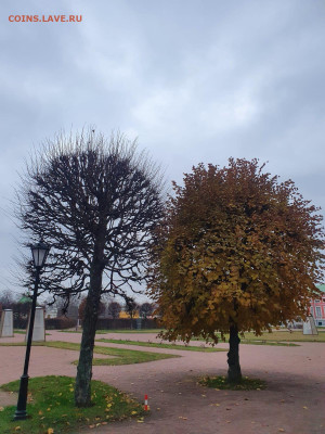 юмор - IMG-20221124-WA0006