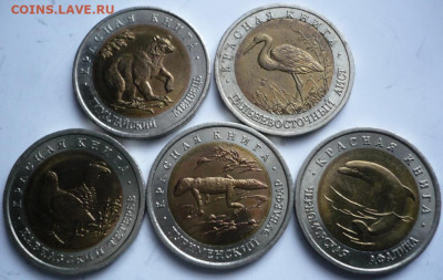 Полный комплект Кк  предпродажная оценка - P1470010.JPG