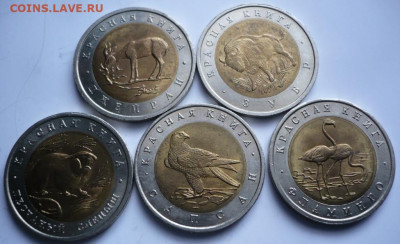 Полный комплект Кк  предпродажная оценка - P1470012.JPG