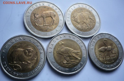 Полный комплект Кк  предпродажная оценка - P1470013.JPG