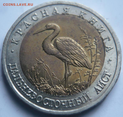 Полный комплект Кк  предпродажная оценка - P1470016.JPG