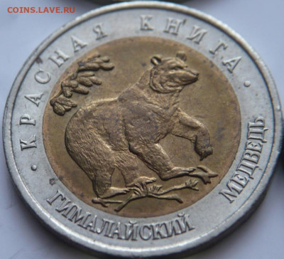 Полный комплект Кк  предпродажная оценка - P1470086.JPG