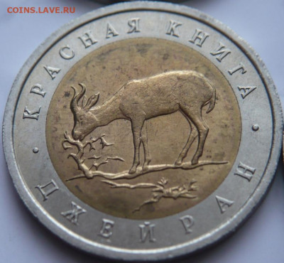 Полный комплект Кк  предпродажная оценка - P1470087.JPG