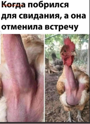 юмор - Screenshot_20221125-215620_Instagram